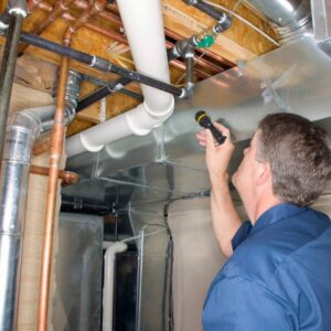 Building Inspection Report Generator Pro